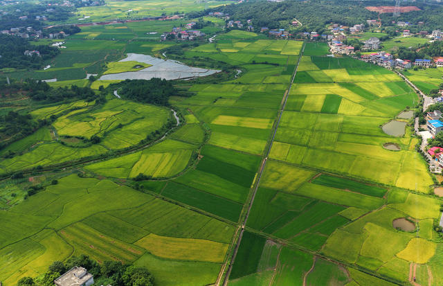 田园 风光