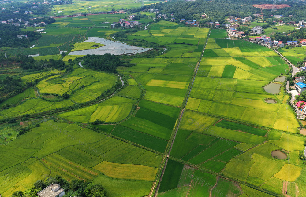田园 风光