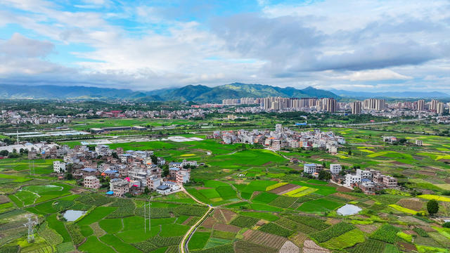 城乡  生态  画卷  和美