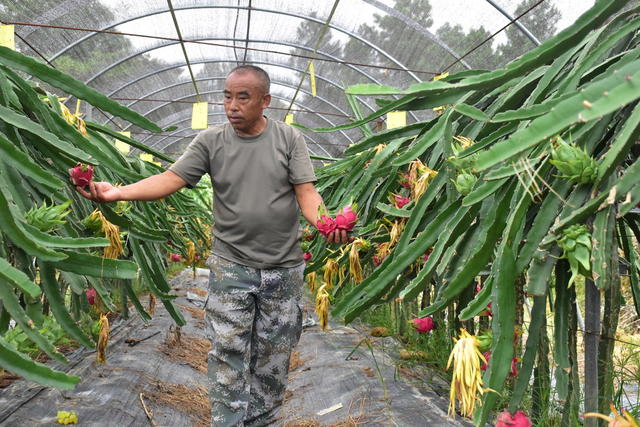 果园研学乐暑期