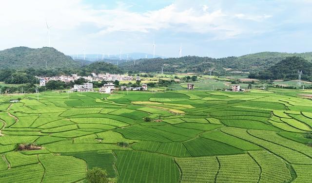 阡陌田园 乡村图景