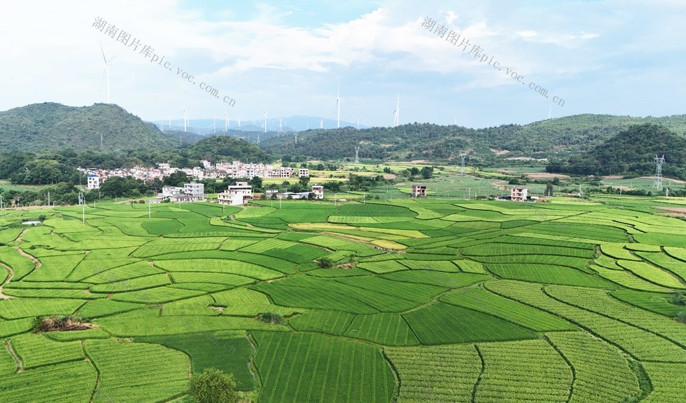 阡陌田园 乡村图景