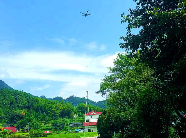 楠竹 无人机 吊运 增收