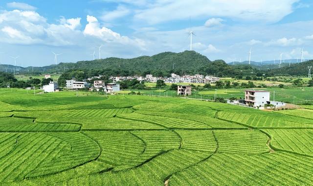 美丽乡村图景