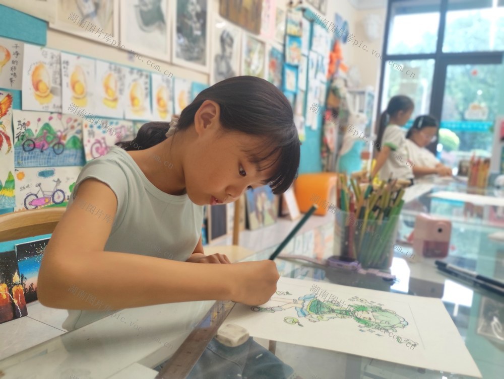 暑假  艺术培训  绘画 美术  文化生活