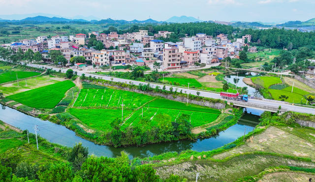 农村  公路  田园  交通  美景