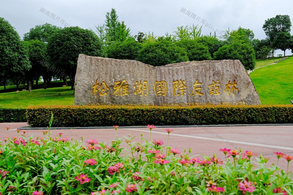松雅湖，国际友谊林
