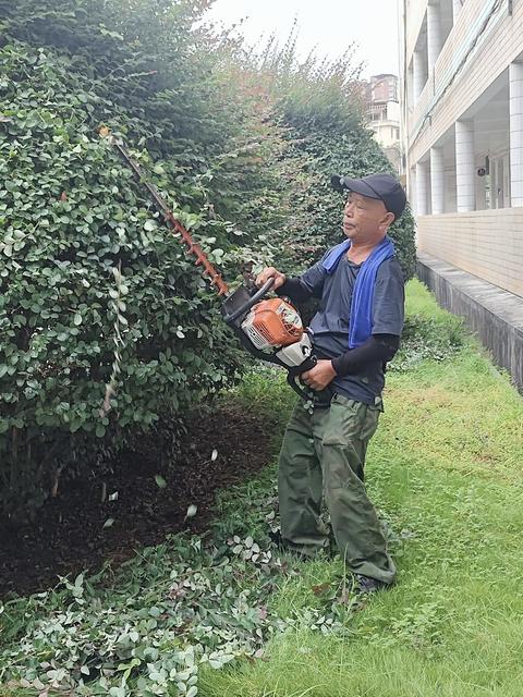 常宁一中 后勤职工 修剪灌木 守护绿意