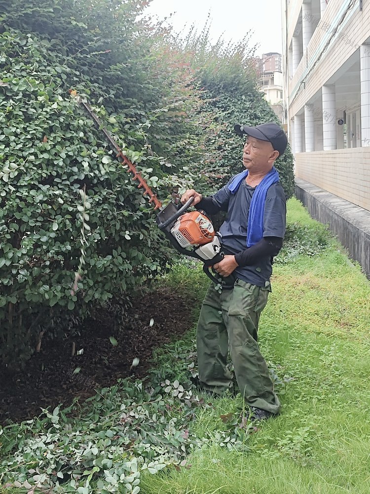 常宁一中 后勤职工 修剪灌木 守护绿意