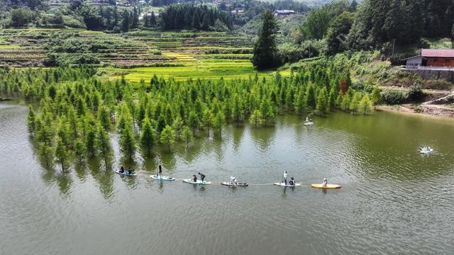 旅游经济，生态，户外，芷江，水上杉林