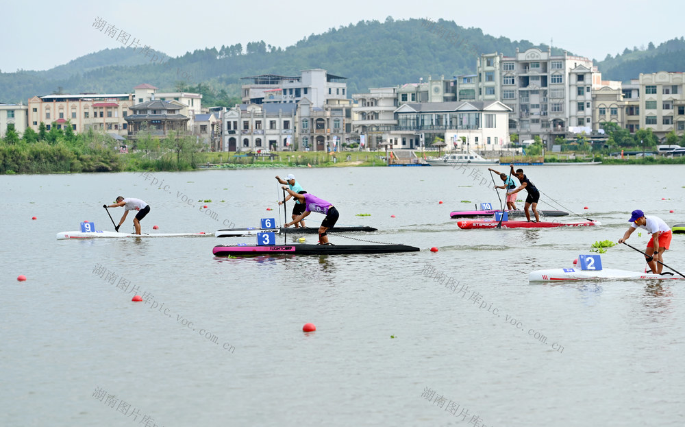 桨板 运动 体育 水上运动 运动员 桨板赛 国际公开赛 天子湖 比赛 湿地公园 国际赛