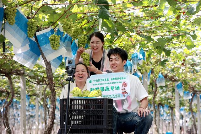 直播、助农、公益、电商、果园、主播