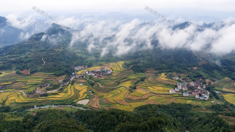 丰收景象