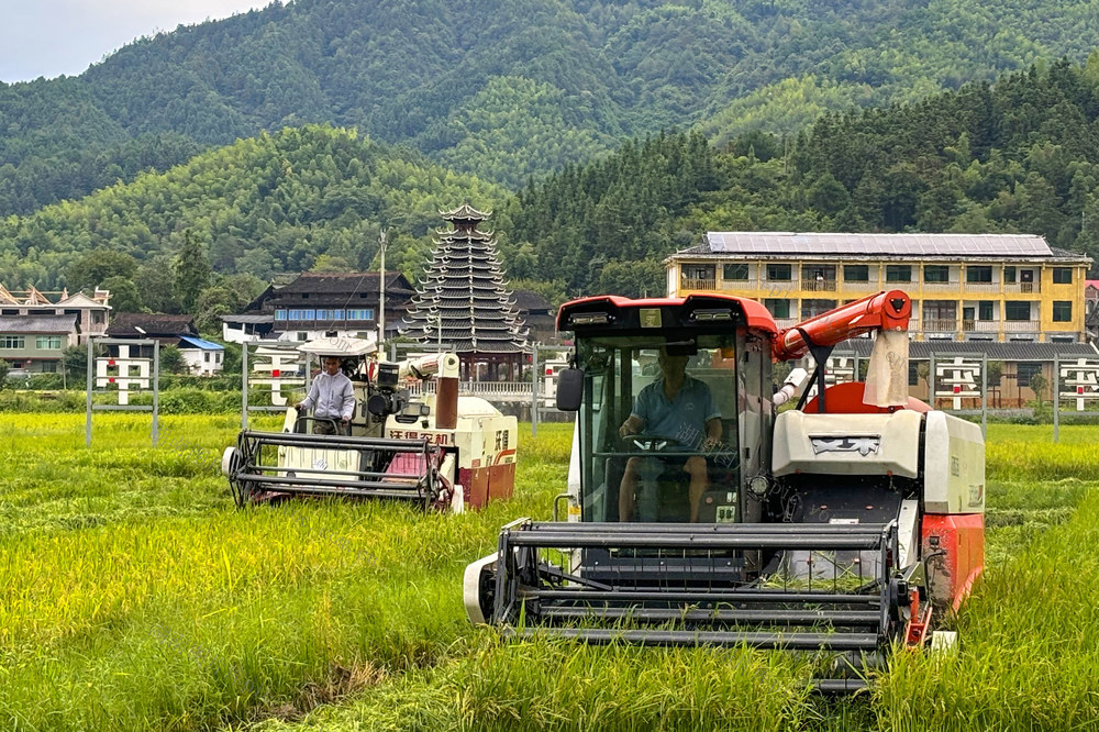 水稻、制种、农业、农机、秋收