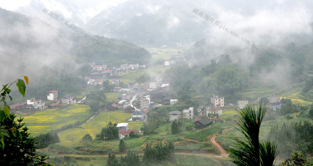 稻田 山峰 云雾 仙境