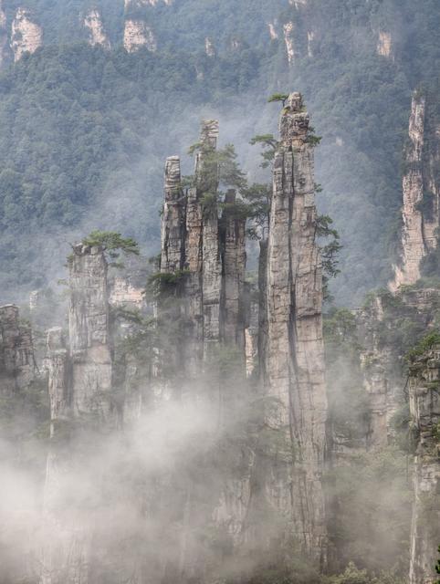 天子山、御笔峰、云雾