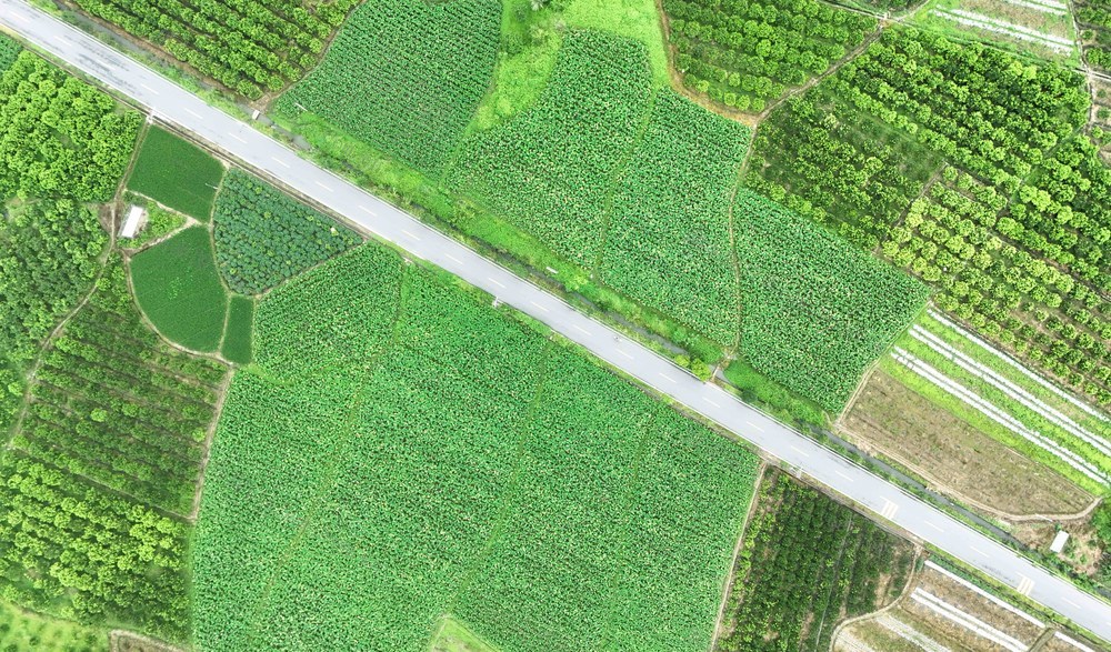  秋日田园画卷