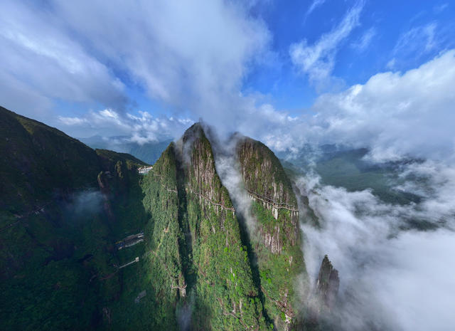 湖南  郴州  宜章  莽山  国家森林公园  云海  景区  筹备工作 
   旅发大会    自然风光  特色文旅  盛会 
 游客  文旅  旅游配套  文旅氛围   旅发大会  