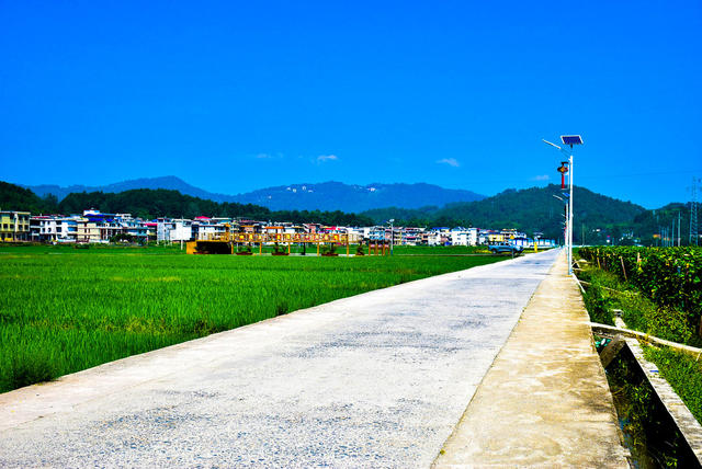秋染稻田 村景如画