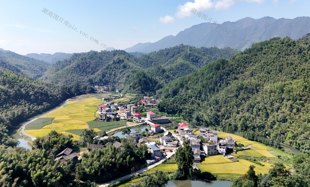 乡村 秋日 稻田 蔬菜 画卷 生态 发展 城步