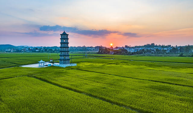 湖南  郴州  苏仙区 
 栖凤渡镇  村头村  稻 田   夕阳  田园画卷  乡村振兴