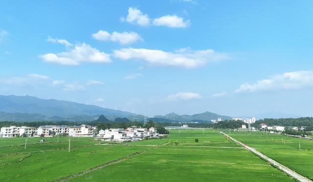  绿色田园 景美如画