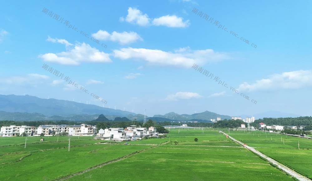  绿色田园 景美如画