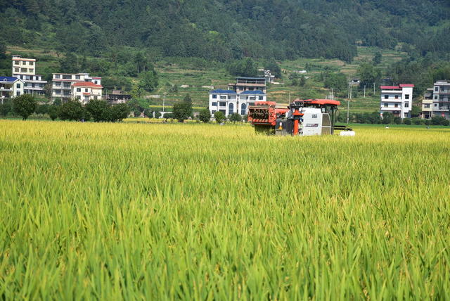 农机抢收保丰收