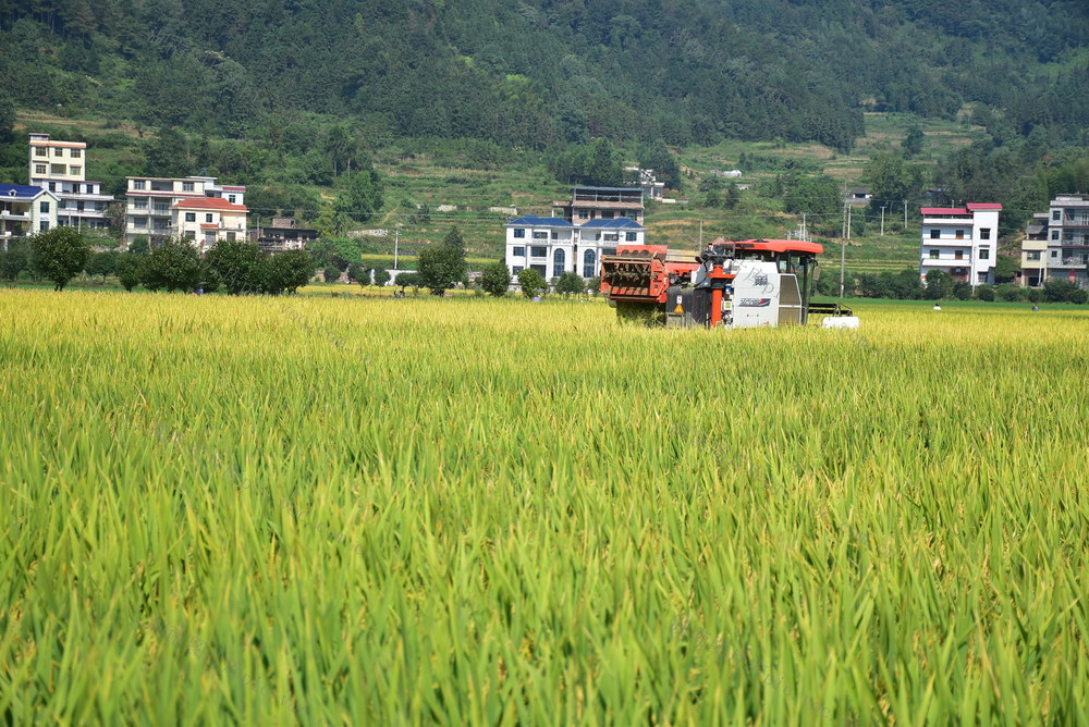 农机抢收保丰收