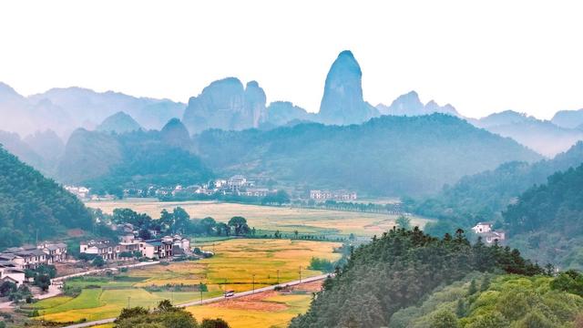 秋到骆驼峰