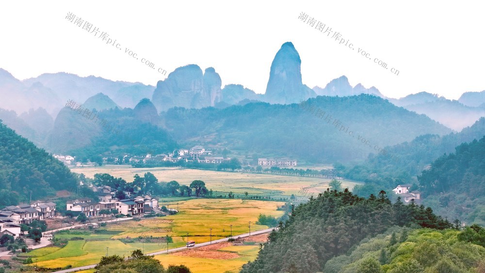 秋到骆驼峰