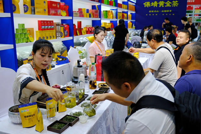 茶业，博览会