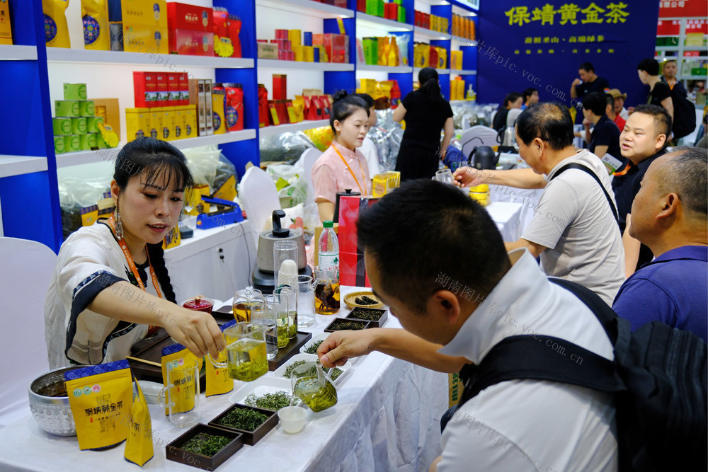 茶业，博览会