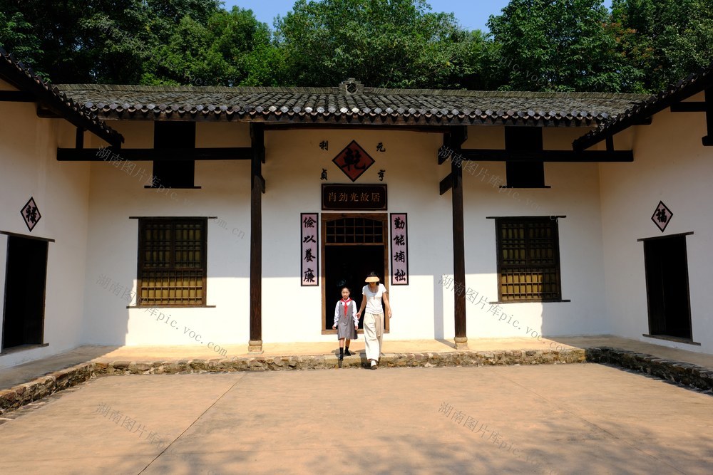 肖劲光