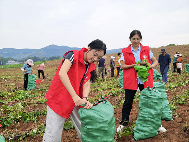 耕地 群众 自然资源 党员干部 责任 政策 服务 田间地头