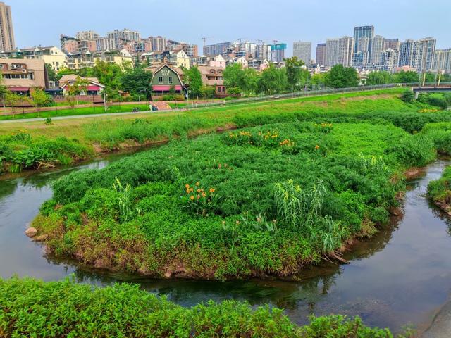 圭塘绿岛