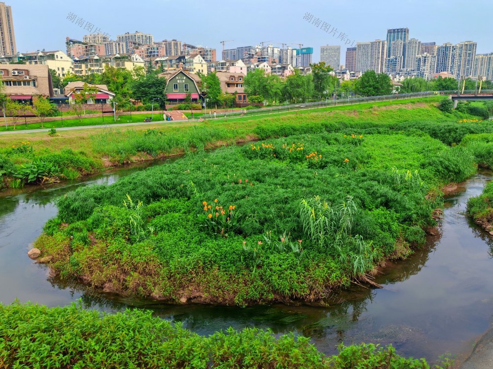 圭塘绿岛