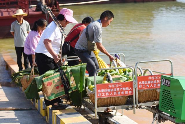 柑桔  助农增收 移民
