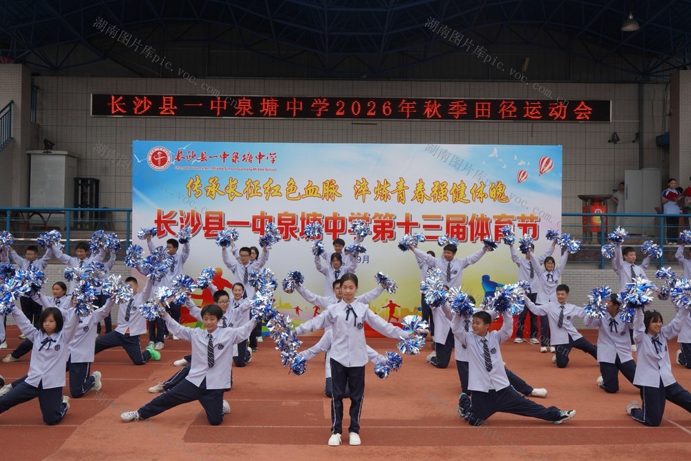 图片新闻报道