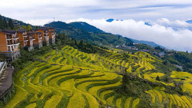 山背 旅游