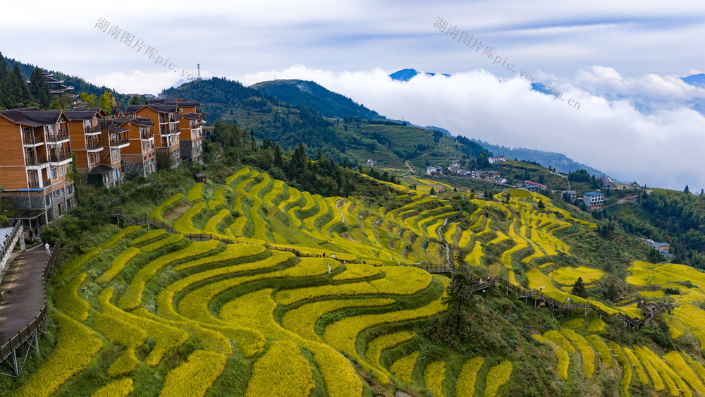 山背 旅游