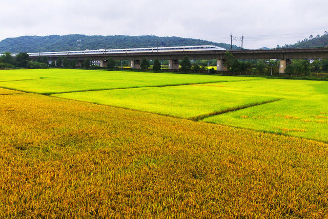 永兴：高铁飞驰入画来