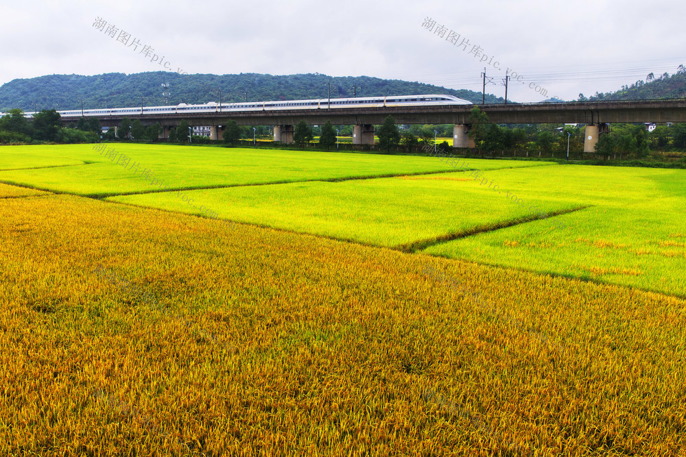 永兴：高铁飞驰入画来