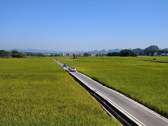 金秋 田长制 耕地 粮食 良田 丰收 田间