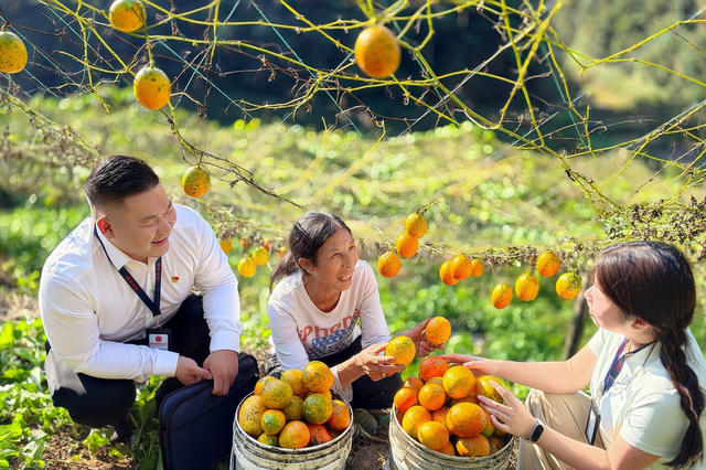  产业帮扶 资金 使用 管理 纪检 监督 下沉 赋能 乡村 振兴