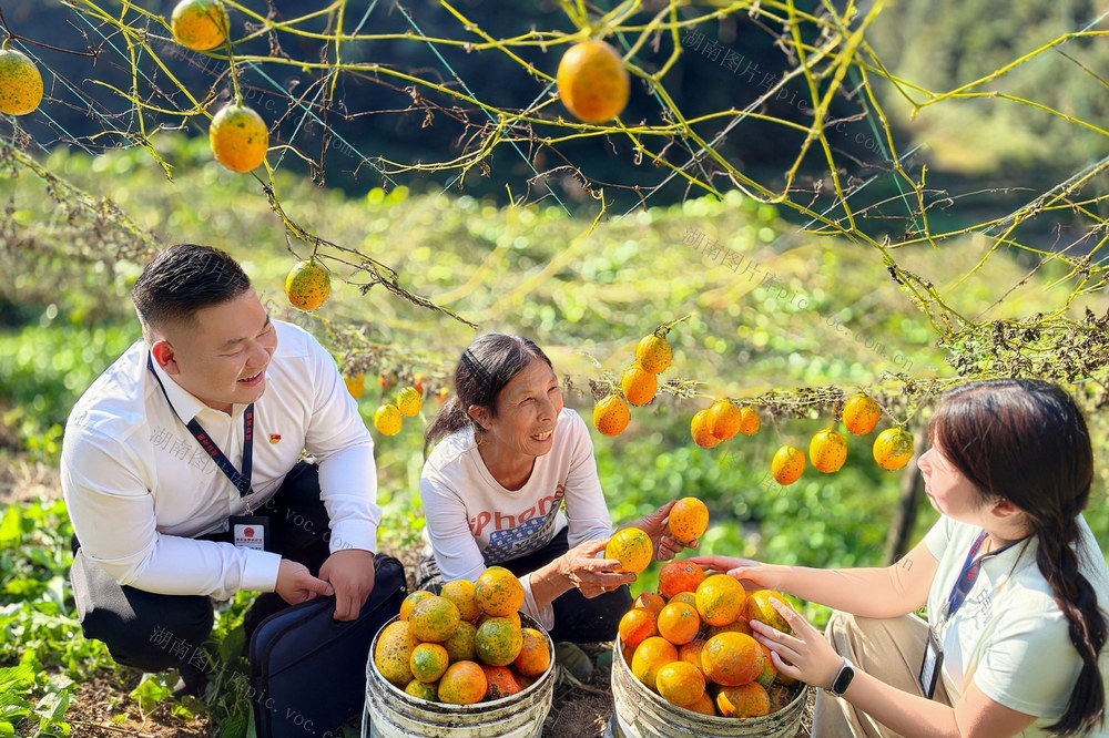  产业帮扶 资金 使用 管理 纪检 监督 下沉 赋能 乡村 振兴