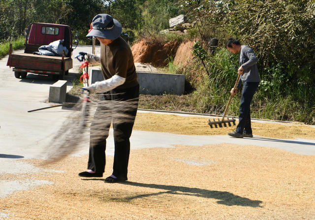 农业