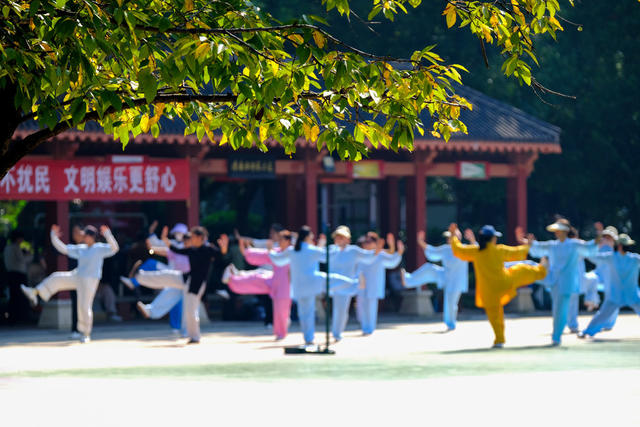 晓园公园
