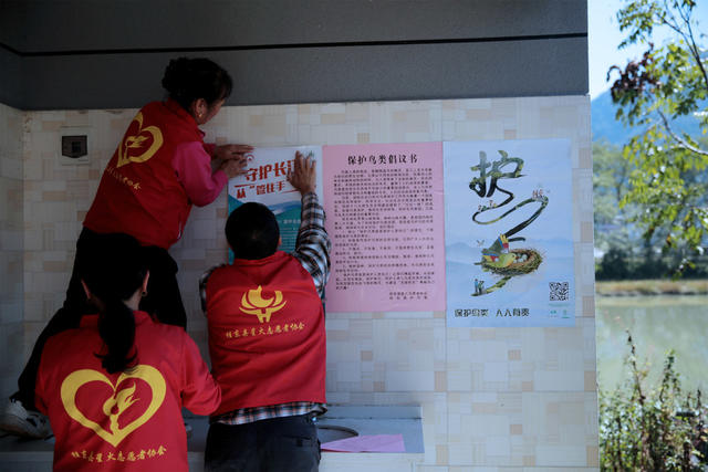 桂东、千年鸟道、候鸟迁徙、星火志愿者协会、红马甲、护鸟、候鸟守护者、生态保护