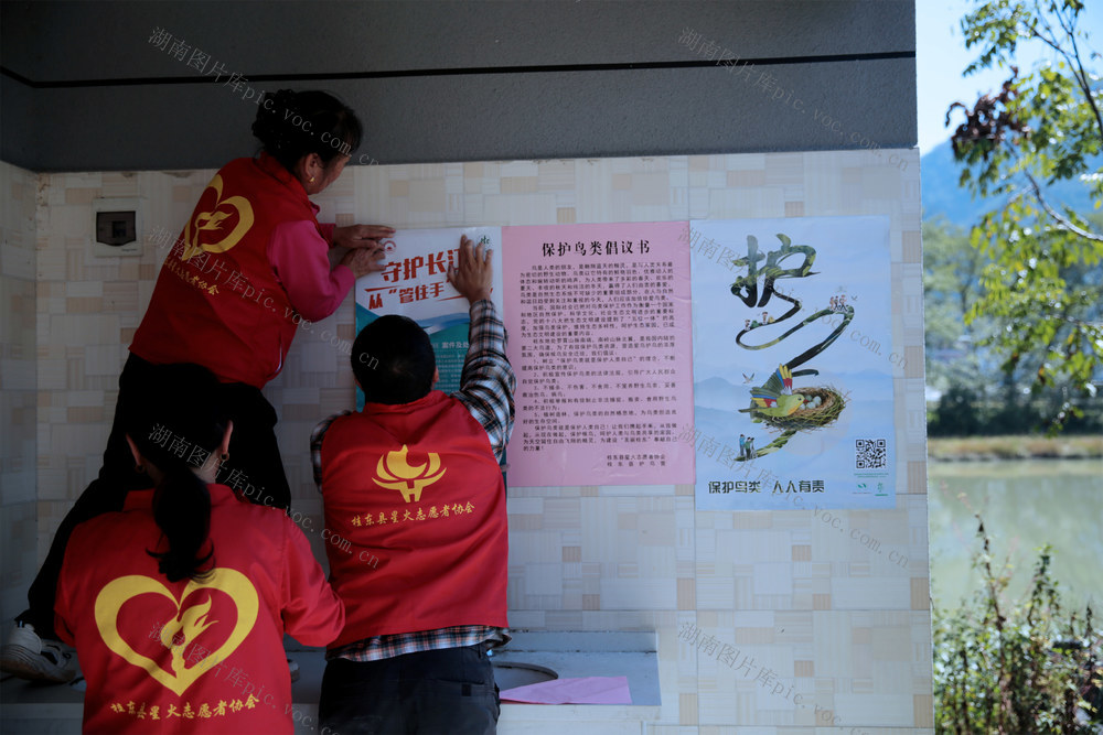 桂东、千年鸟道、候鸟迁徙、星火志愿者协会、红马甲、护鸟、候鸟守护者、生态保护